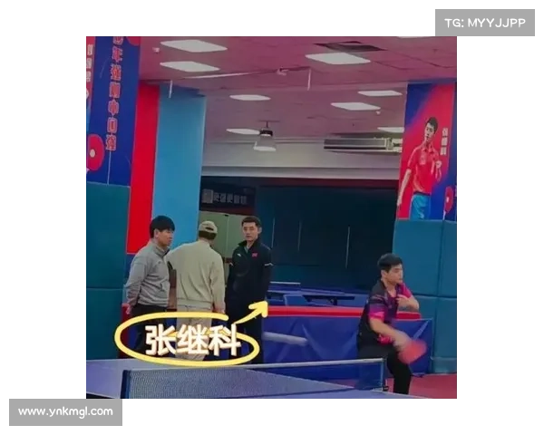 张继科与刘诗雯携手征战乒坛 展现新时代乒乓球力量与默契配合